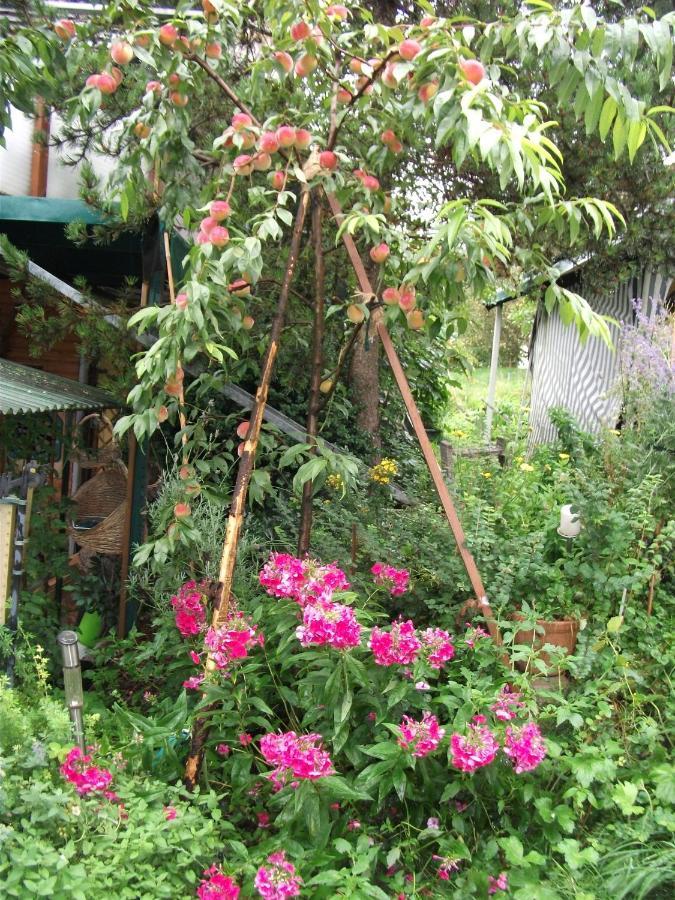 Ferienwohnung Krottensee กมุนเดน ภายนอก รูปภาพ