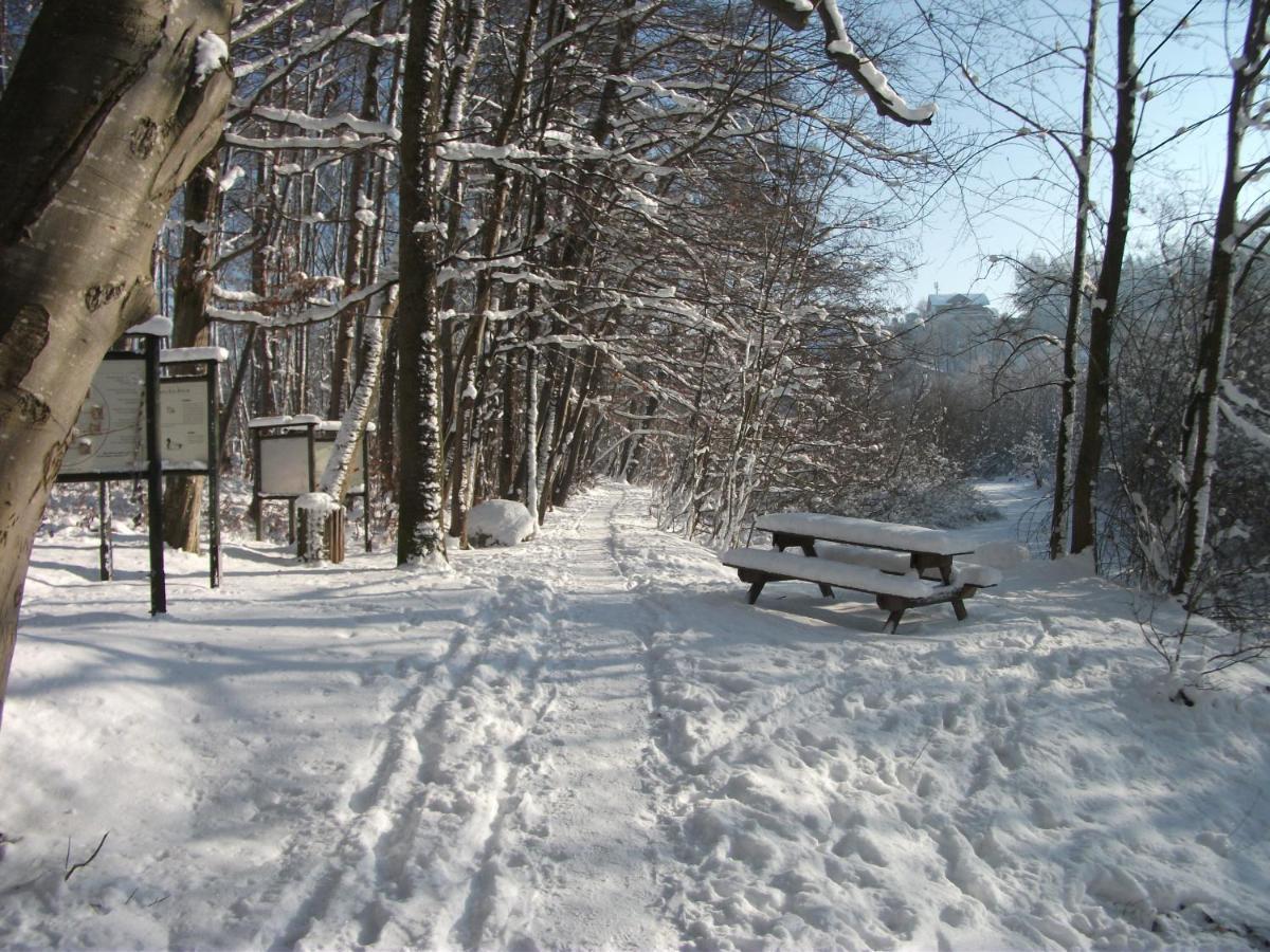 Ferienwohnung Krottensee กมุนเดน ภายนอก รูปภาพ