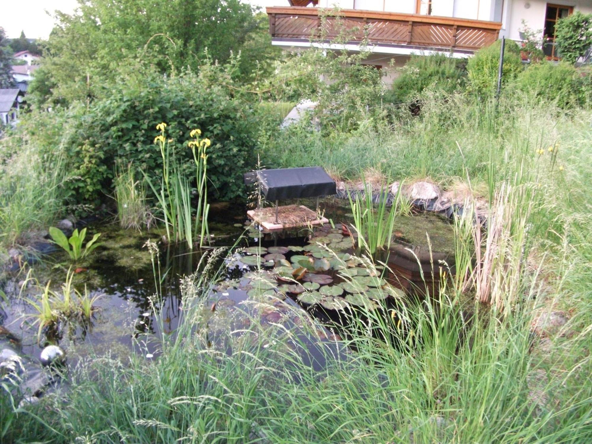 Ferienwohnung Krottensee กมุนเดน ภายนอก รูปภาพ